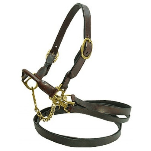 Gympie Saddleworld Cattle Products Large Leather Cattle Halter with Leads