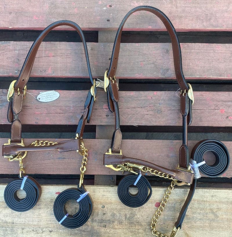 Gympie Saddleworld Cattle Products Medium Leather Cattle Halter with Leads