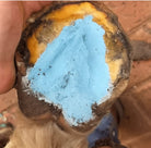 Gympie Saddleworld & Country Clothing Farrier Products The Hoof Co Hoof Paste Blue