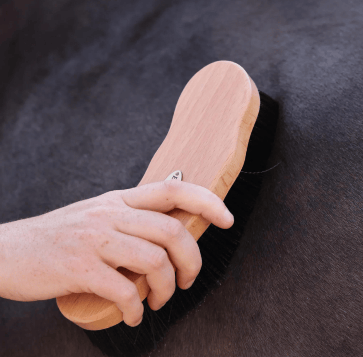 Gympie Saddleworld & Country Clothing Grooming Shires Brush Ezi Groom Premium Dandy
