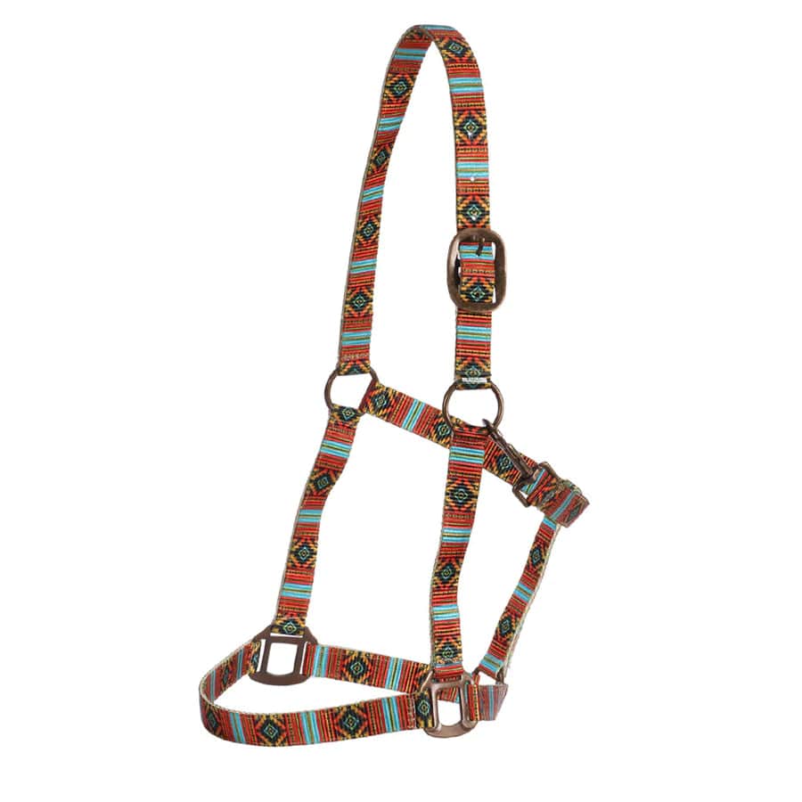 Gympie Saddleworld & Country Clothing Halters Cob / Nicoma Halter with Copper Hardware Nicoma (FOR3800)