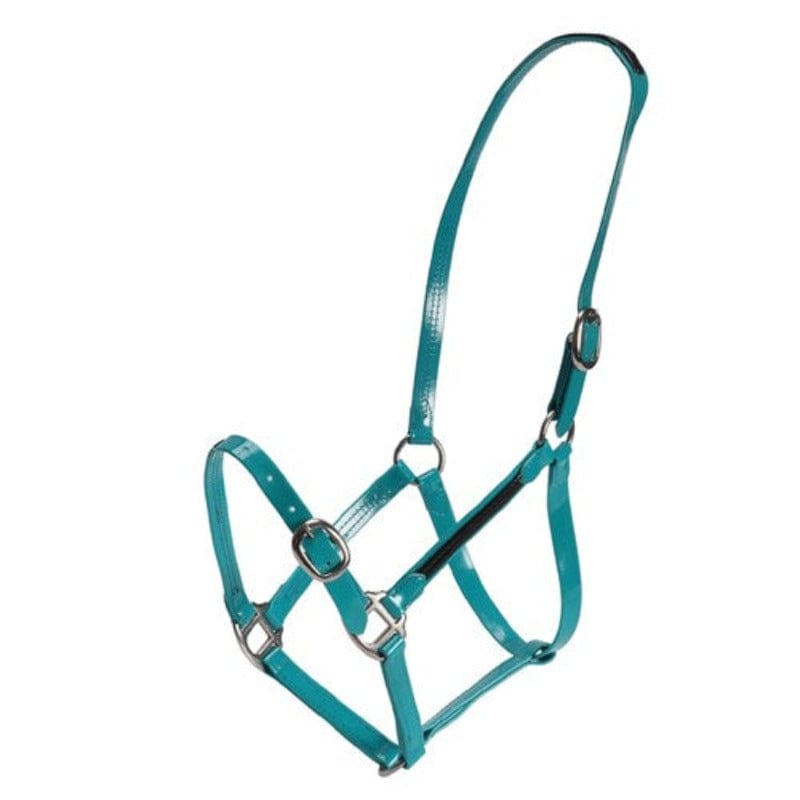 Gympie Saddleworld & Country Clothing Halters Cob / Turquoise/Black Fort Worth PVC Halter (FOR3620)