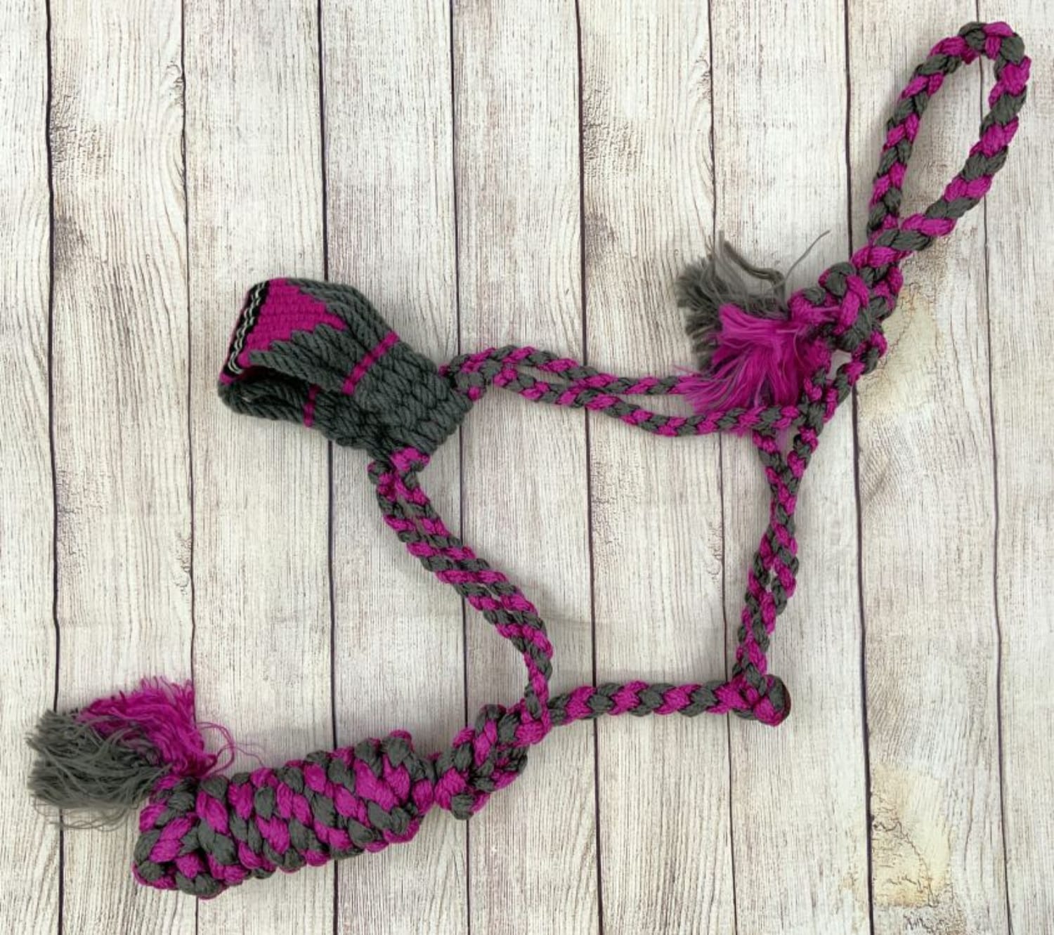 Gympie Saddleworld & Country Clothing Halters Pink/Grey Showman Halter & Lead Set Nylon Mule Tape with Mohair Noseband
