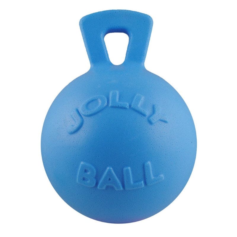 Gympie Saddleworld & Country Clothing Stable - Tack Room Accessories 20cm / Blueberry Tugg n Toss Ball