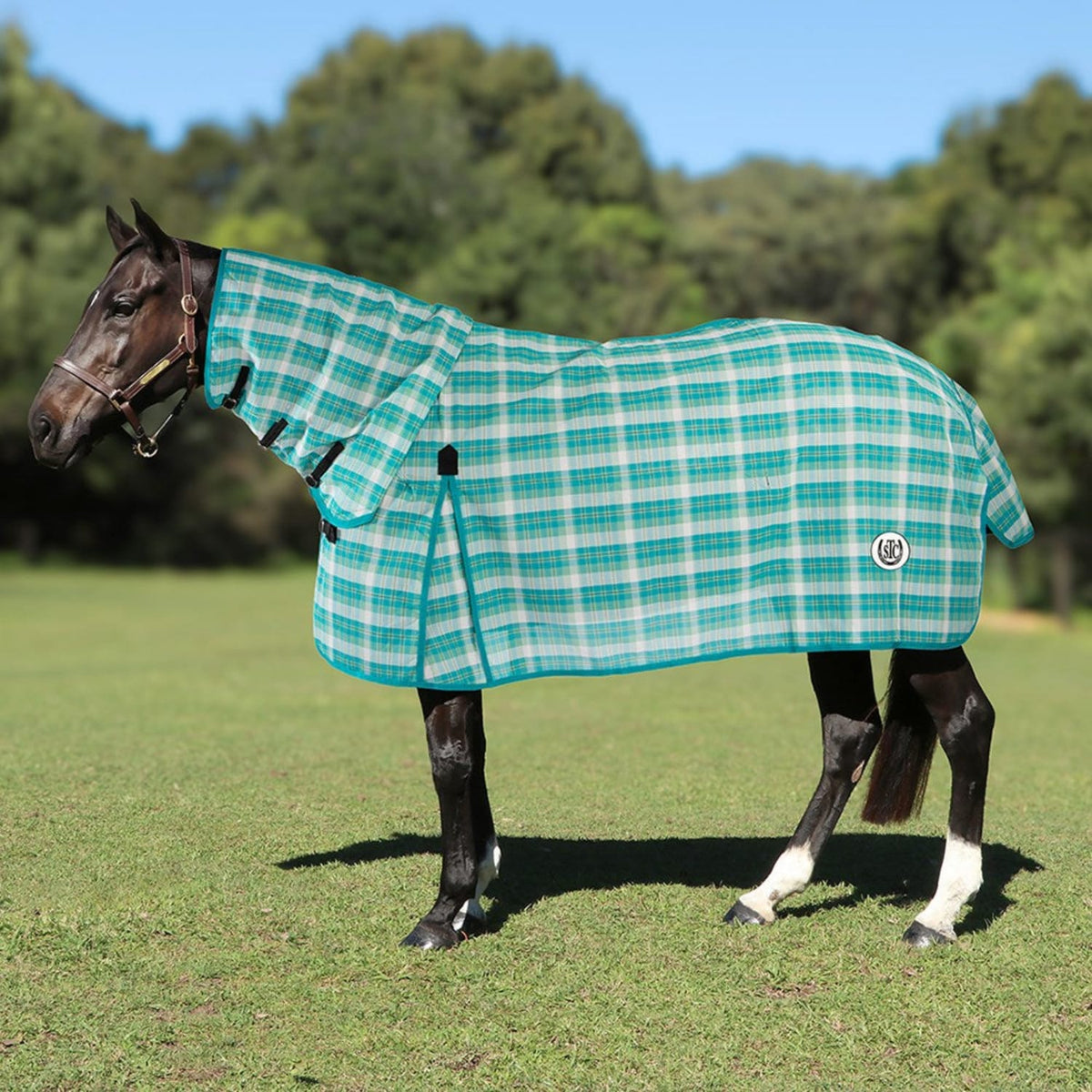 Gympie Saddleworld & Country Clothing Summer Horse Rugs 6ft0 / Teal/White PVC Mesh Combo Check
