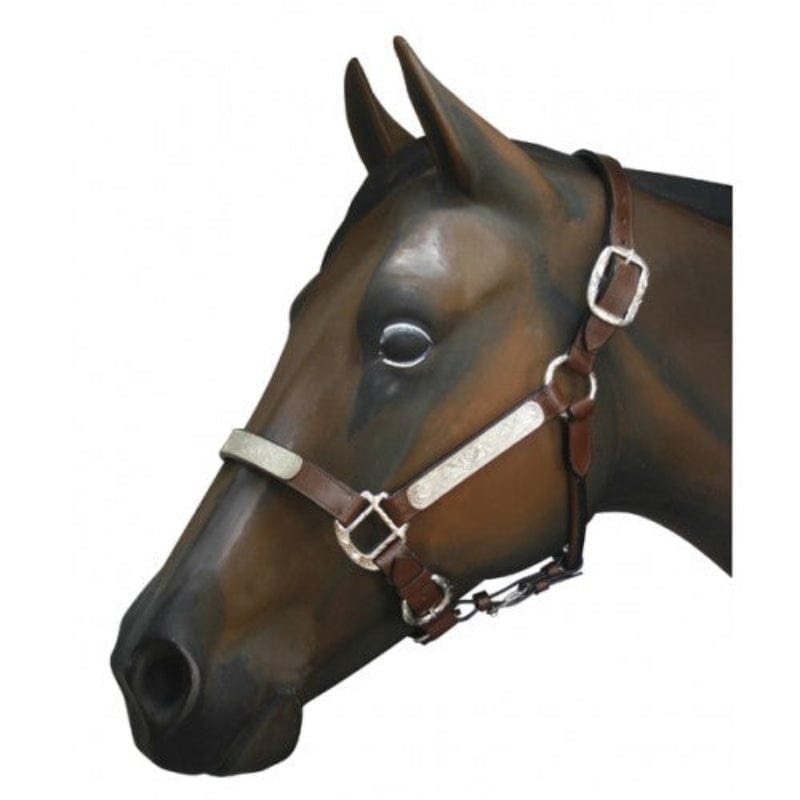 Gympie Saddleworld Halters Pony / Brown Western Show Halter Brown