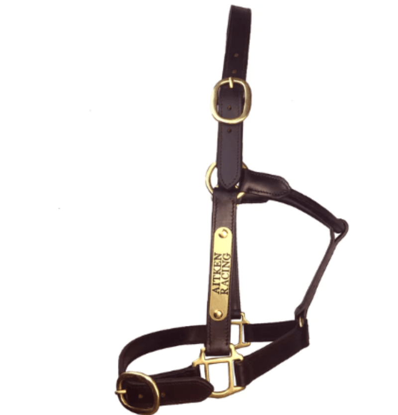 Hamag Halters Cob / Brown Hamag Leather Thoroughbred Halter with Engraved Nameplate