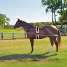 Horsemaster Training Equipment Horsemaster Training System (LNG2550)