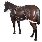 Horsemaster Training Equipment Horsemaster Training System (LNG2550)