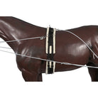 Horsemaster Training Equipment Horsemaster Training System (LNG2550)