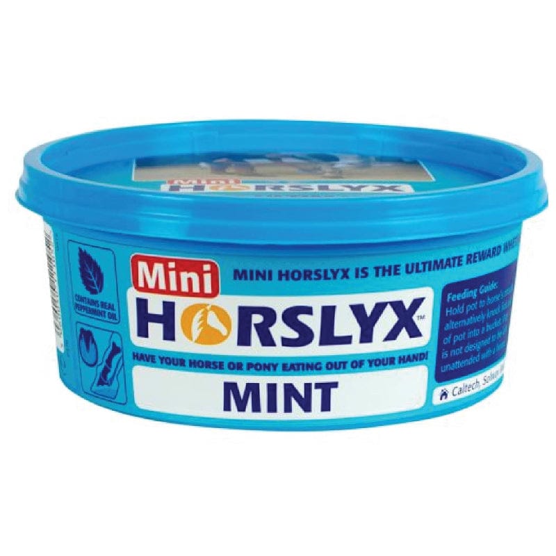 Horslyx Vet - Feed 650g Horslyx Mint Mini Lick Vit & Mineral