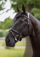 Horze Bridles Horze Bridle Nature Made Leisure