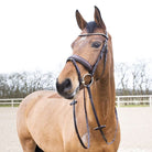 Horze Bridles Horze Crescendo Lester Bridle