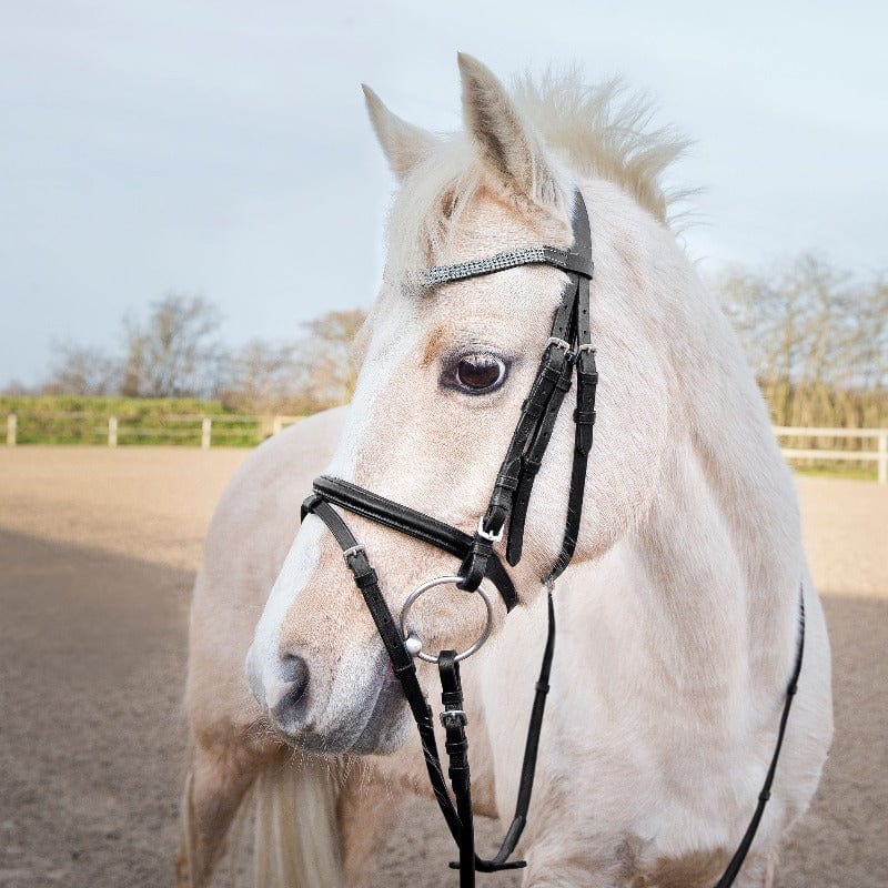 Horze Bridles Horze Pony Bridle (10104)