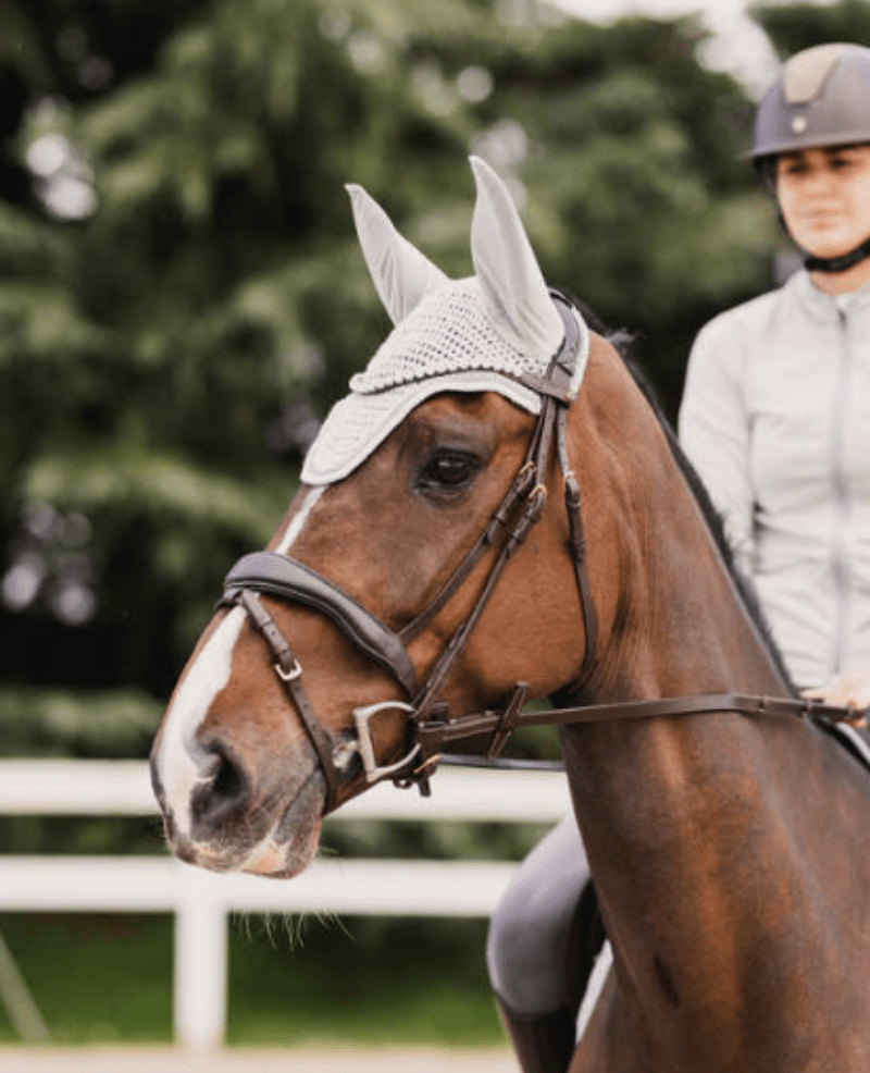 Horze Fly Masks & Bonnets Horze Ear Bonnet Rose Tonique