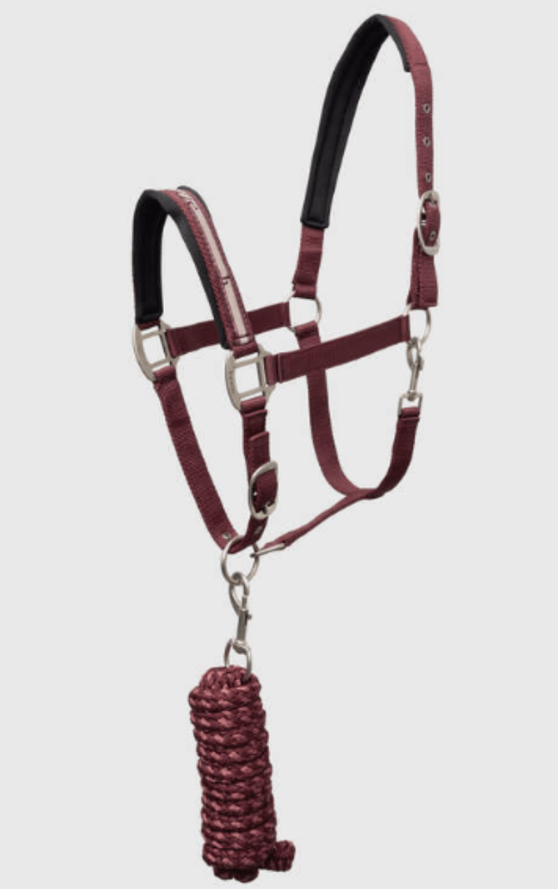 Horze Halters Pony / Burgundy Horze Halter & Lead Set Physical Sophistication