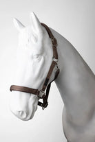 Horze Halters Pony / Chocolate Quartz Horze Halter & Lead Set Lucca