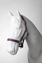 Horze Halters Pony / Flint Horze Halter & Lead Set Lucca