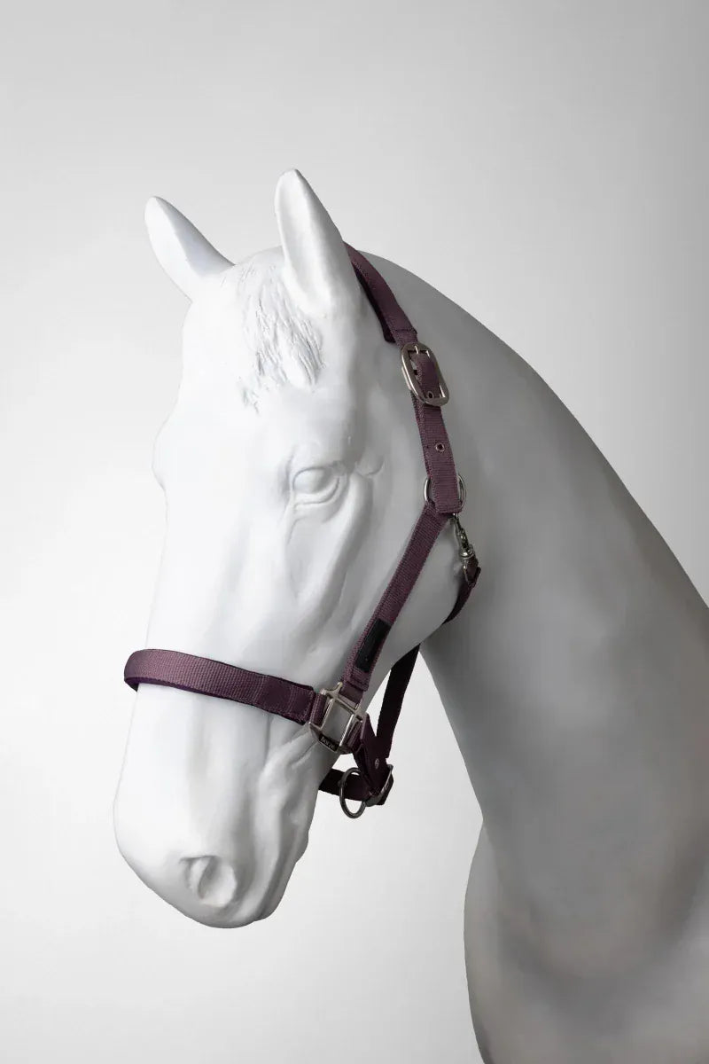 Horze Halters Pony / Flint Horze Halter & Lead Set Lucca