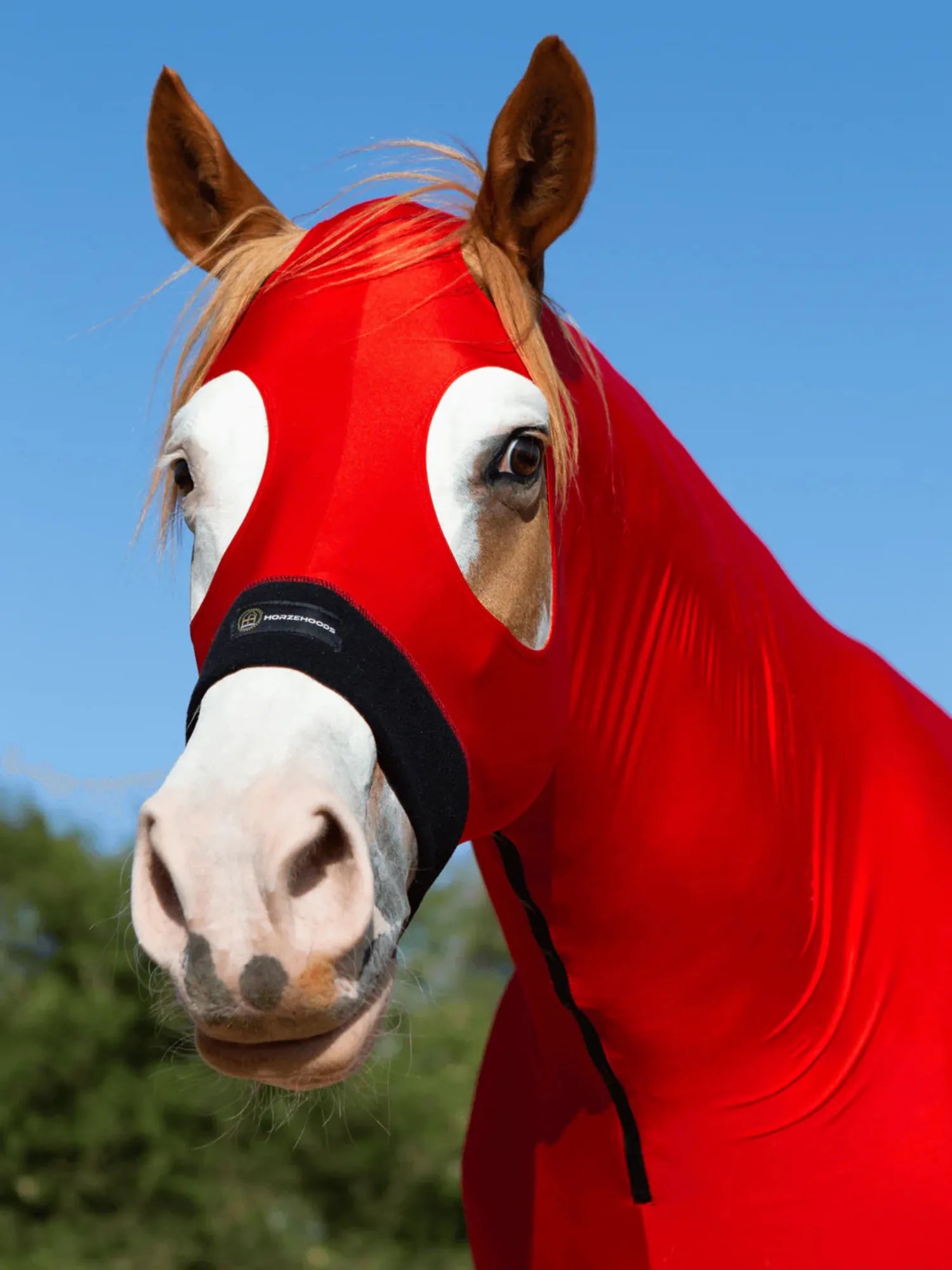 Horze Hoods Horse Rug Accessories 2XL / Red Horze Hoods Skinny Hood with NO Ears