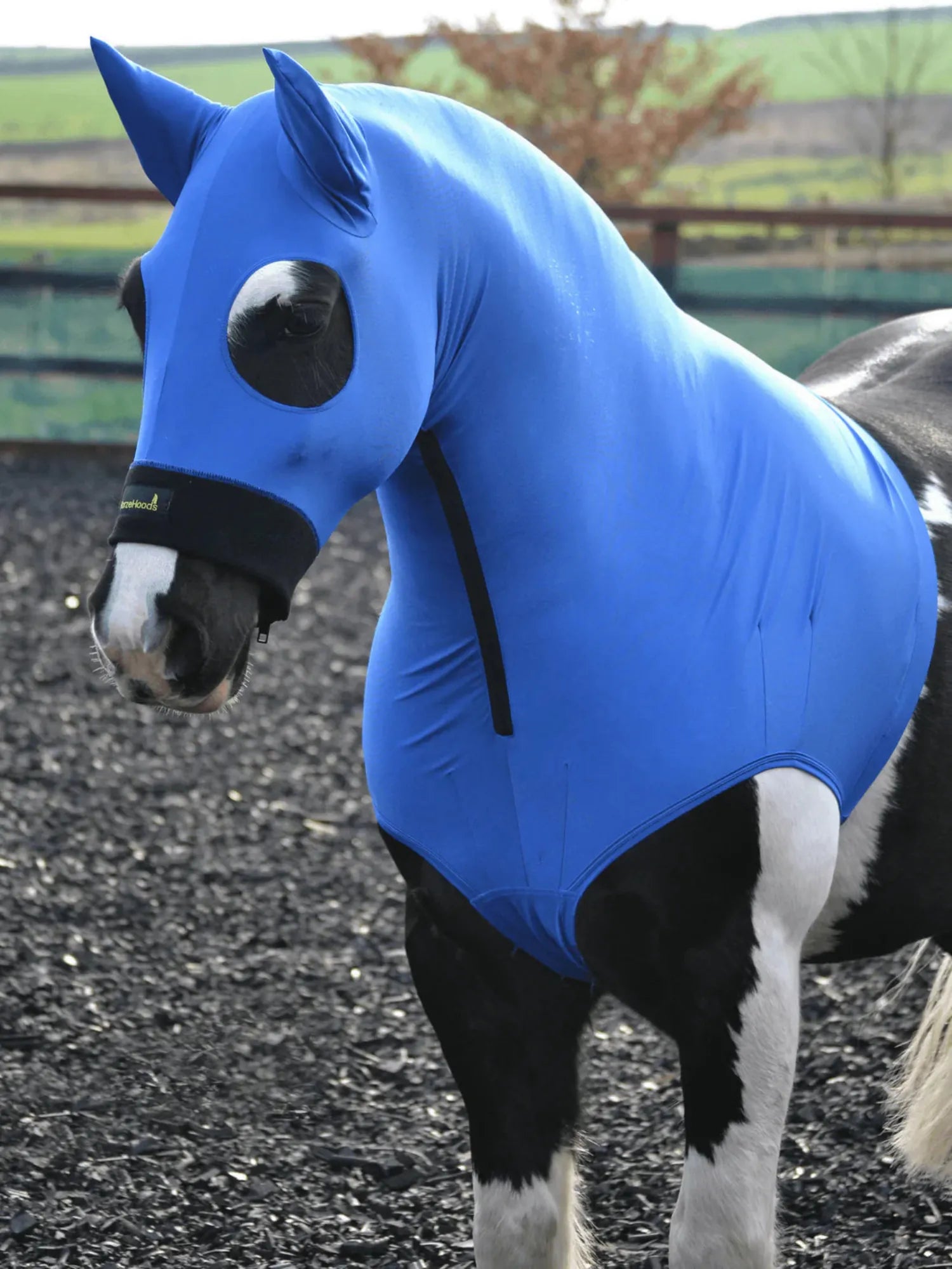Horze Hoods Horse Rug Accessories 2XS / Blue Horze Hoods Skinny Hood with Ears