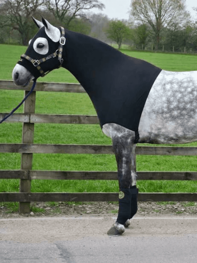 Horze Hoods Horse Rug Accessories Horze Skinny Hood NO Ears