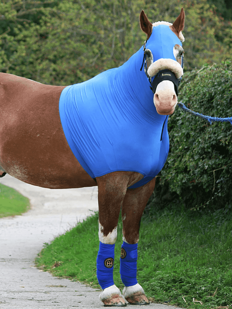 Horze Hoods Horse Rug Accessories Horze Skinny Hood NO Ears