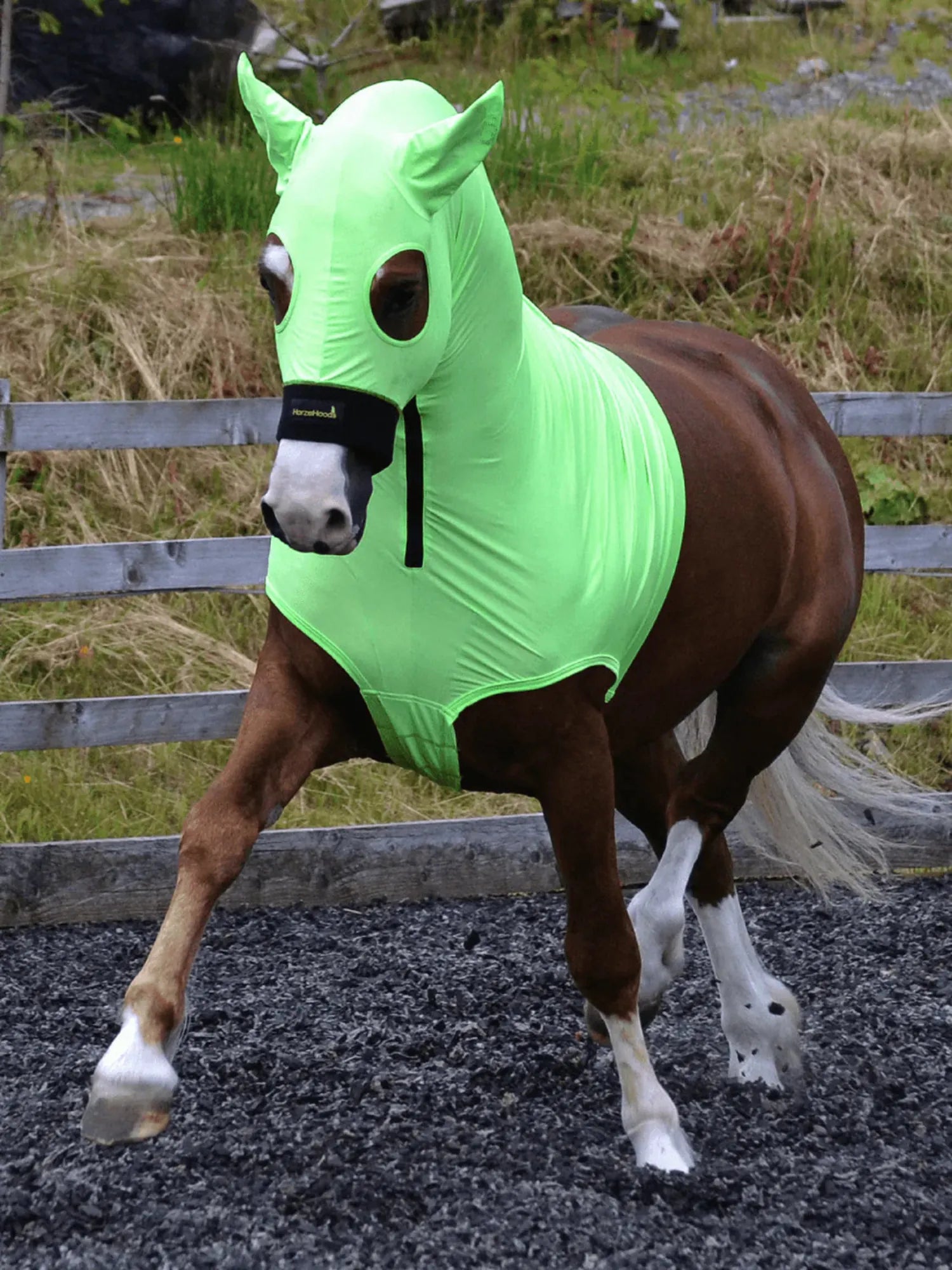 Horze Hoods Horse Rug Accessories M / Lime Horze Hoods Skinny Hood with Ears