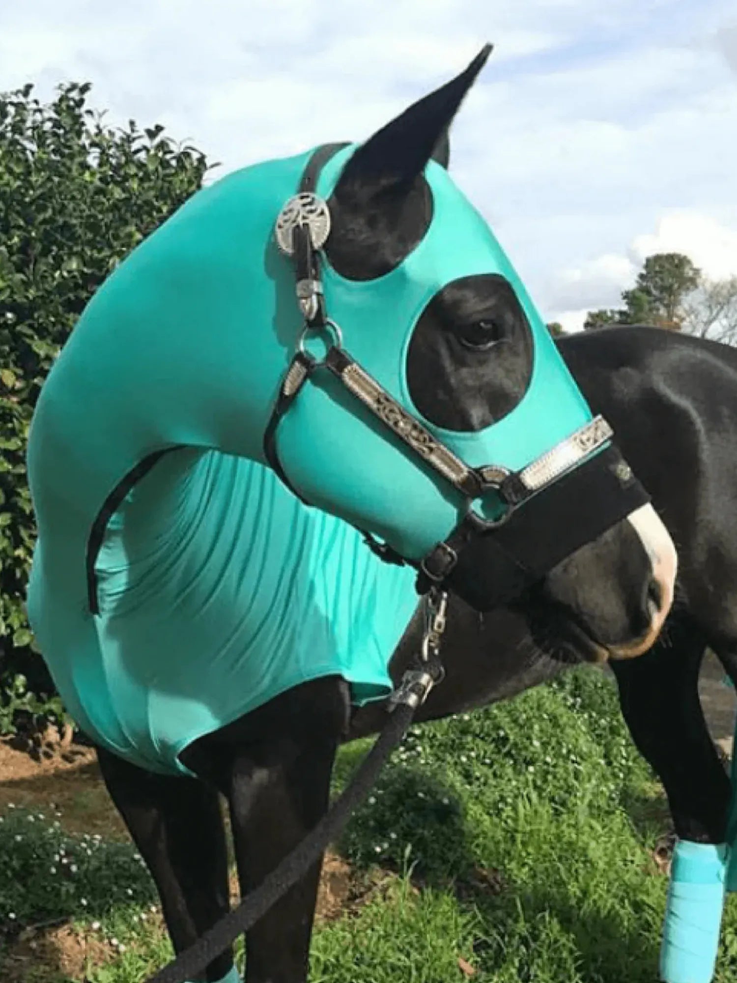 Horze Hoods Horse Rug Accessories M / Turquoise Horze Hoods Skinny Hood with NO Ears