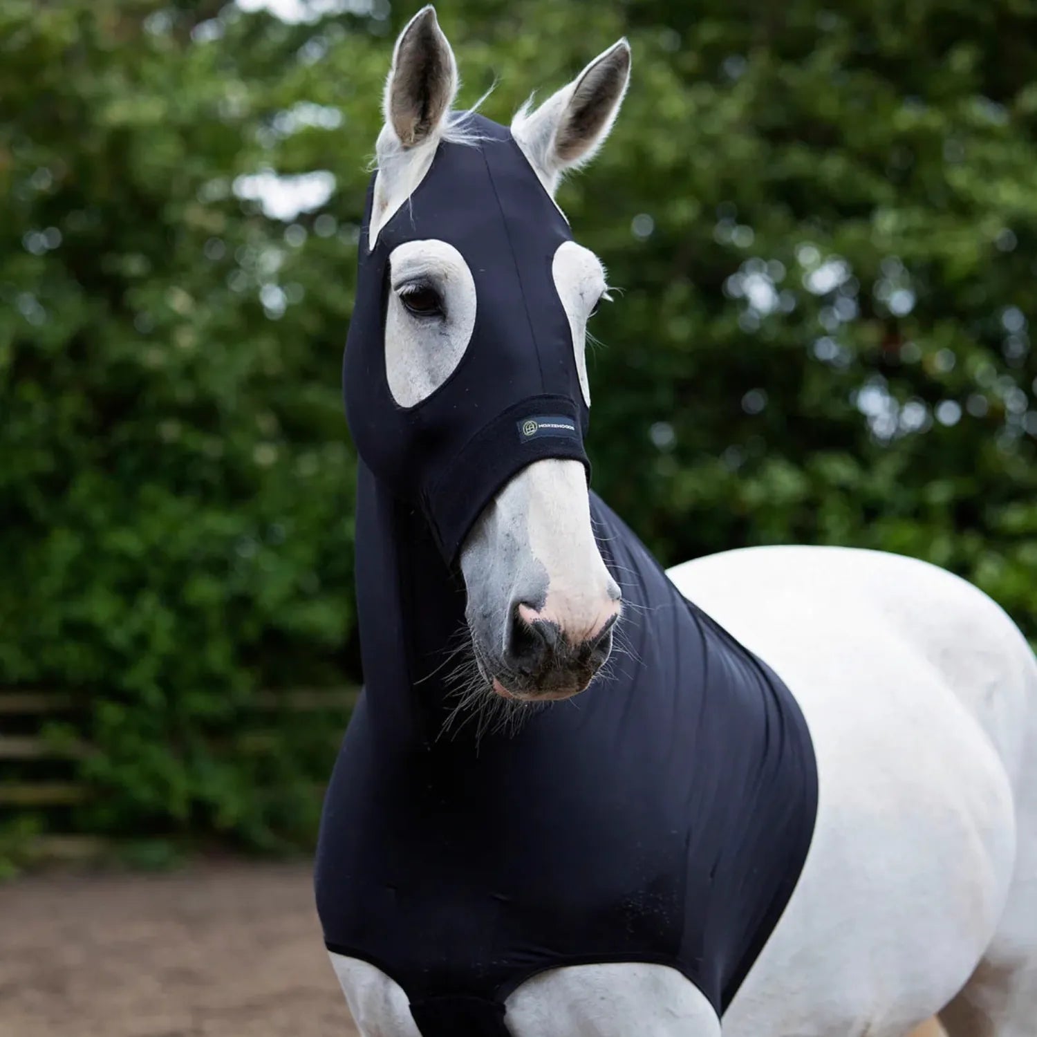 Horze Hoods Horse Rug Accessories S / Black Horze Hoods Skinny Hood with NO Ears