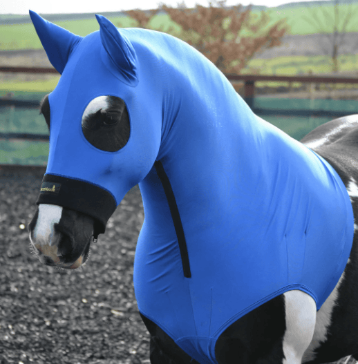 Horze Hoods Horse Rug Accessories S / Blue Horze Skinny Hood with Ears