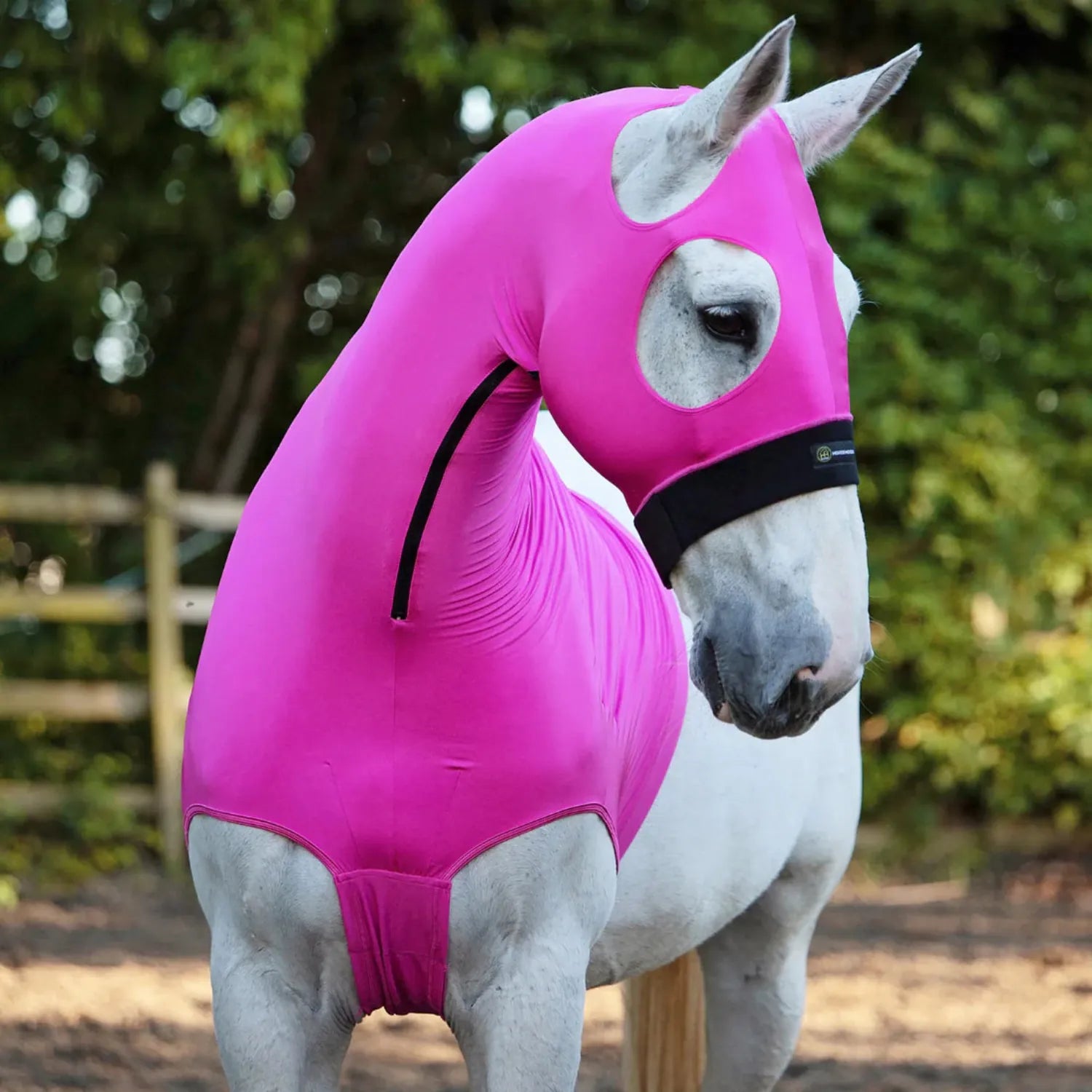 Horze Hoods Horse Rug Accessories S / Pink Horze Hoods Skinny Hood with NO Ears