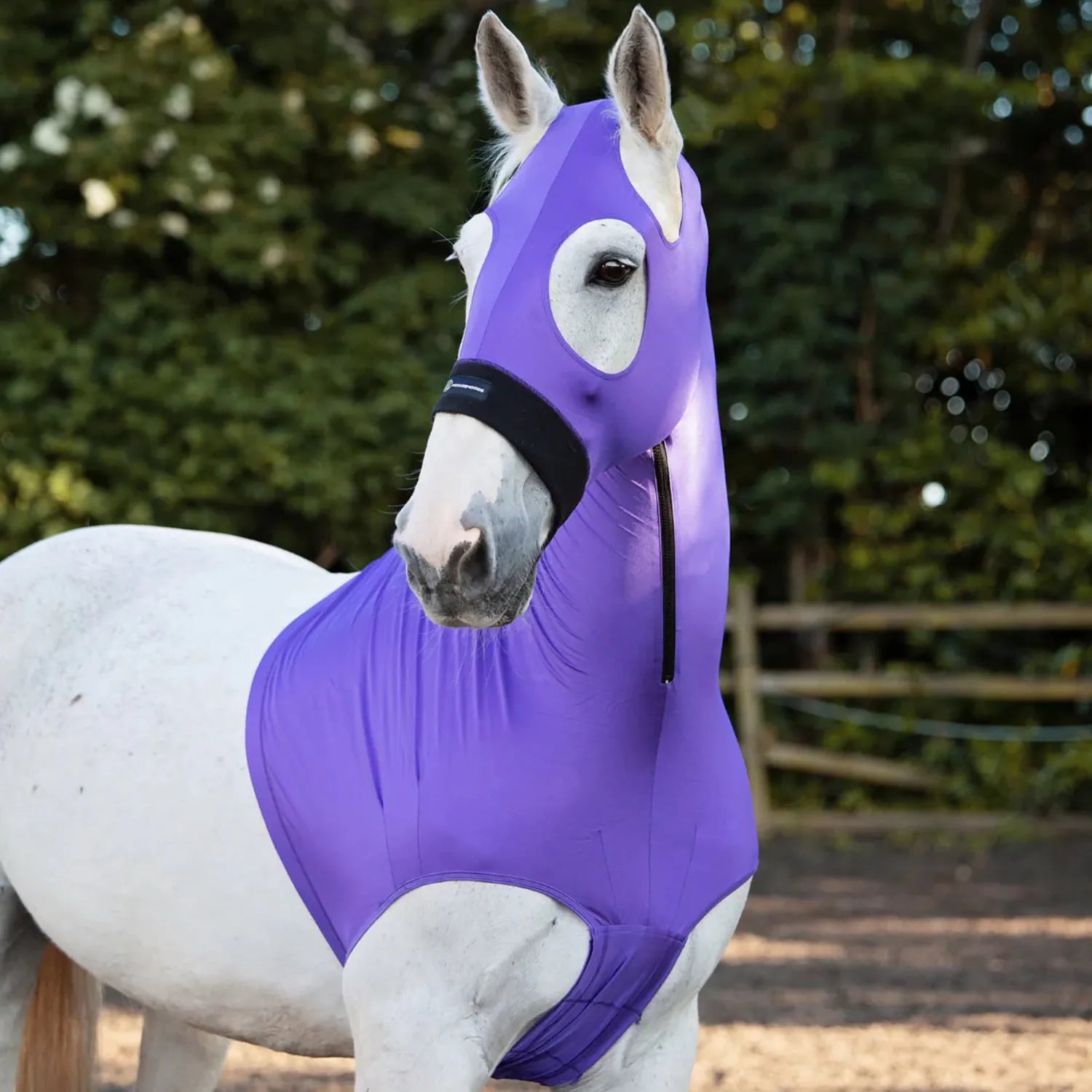 Horze Hoods Horse Rug Accessories S / Purple Horze Hoods Skinny Hood with NO Ears