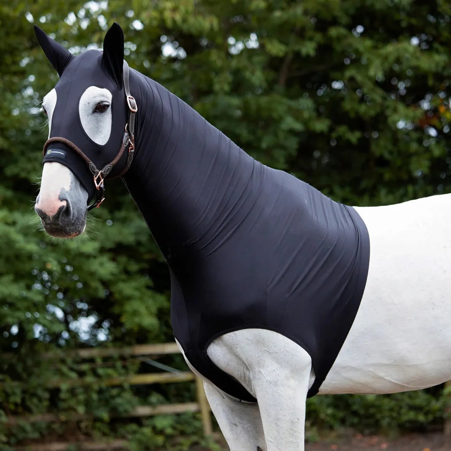Horze Hoods Horse Rug Accessories XS / Black Horze Hoods Skinny Hood with Ears