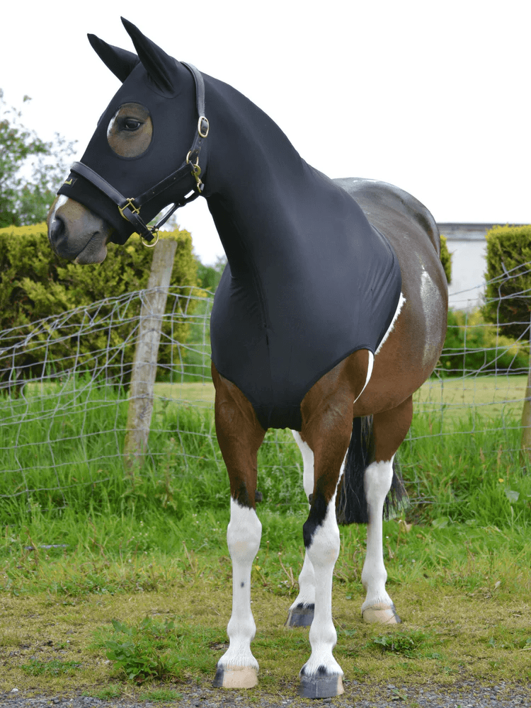 Horze Hoods Horse Rug Accessories XS / Black Horze Skinny Hood with Ears