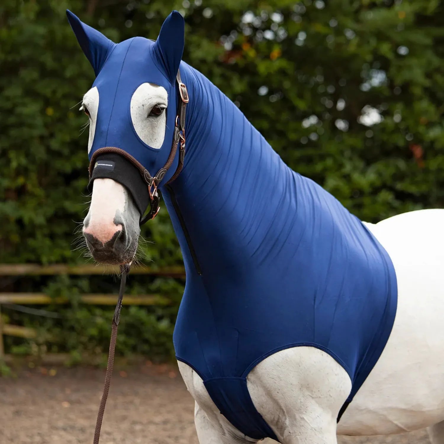 Horze Hoods Horse Rug Accessories XS / Navy Horze Hoods Skinny Hood with Ears