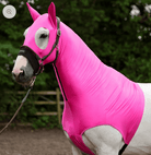 Horze Hoods Horse Rug Accessories XS / Pink Horze Skinny Hood with Ears