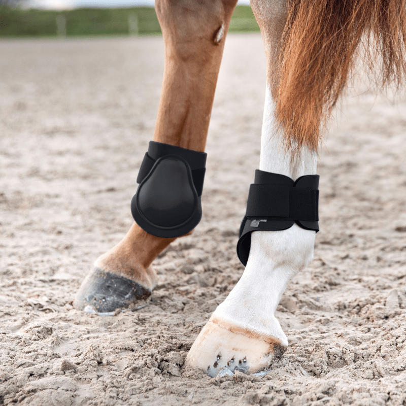 Horze Horse Boots & Bandages Horze Caliber Fetlock Boots