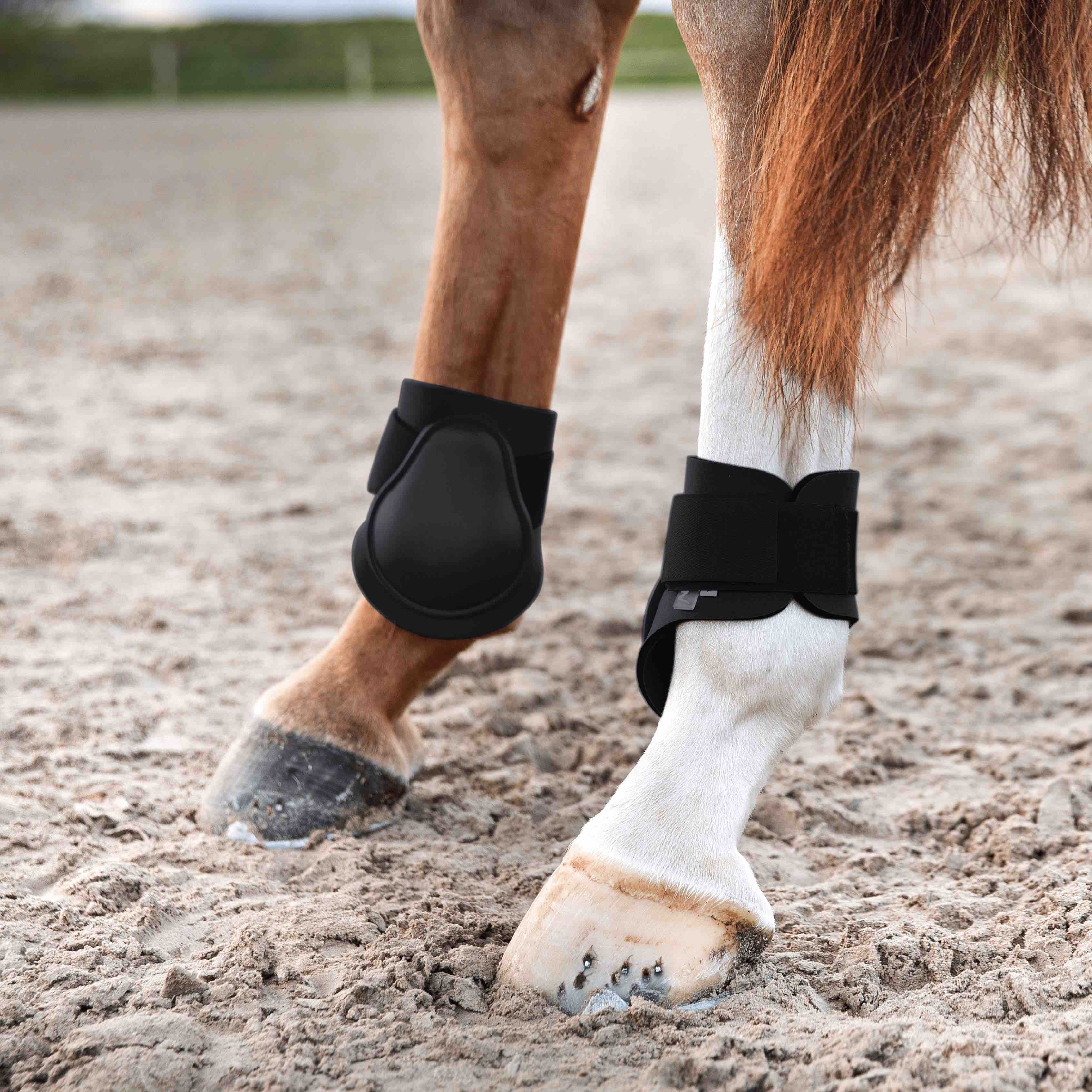 Horze Horse Boots - Bandages Horze Chicago Fetlock Boots
