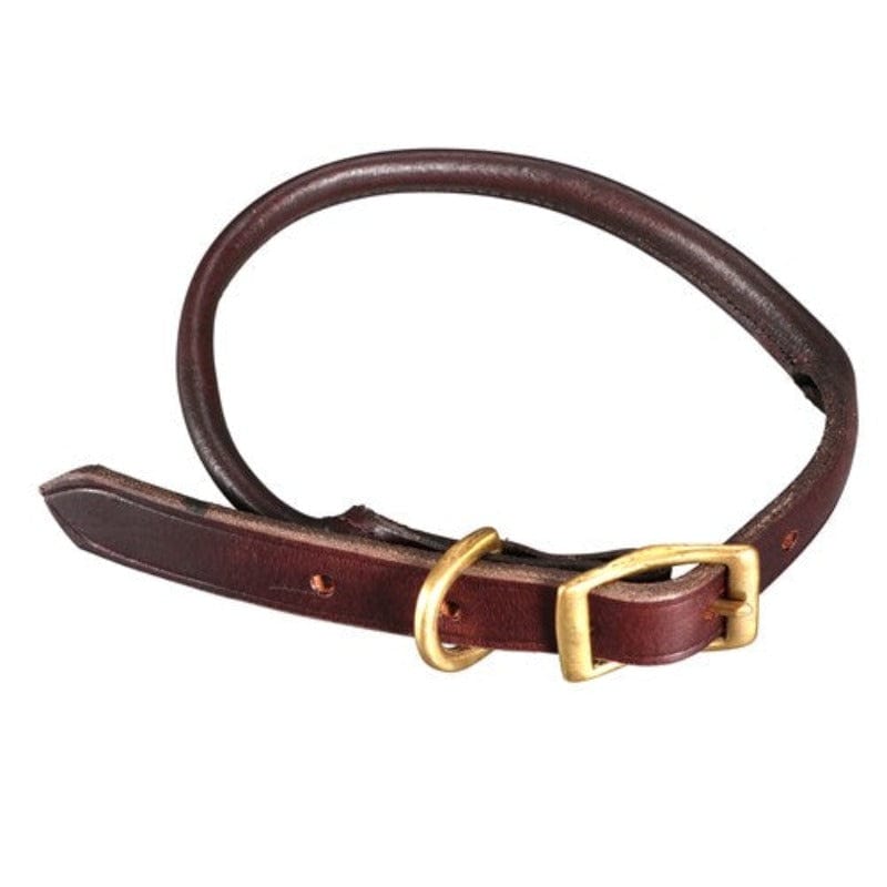 Jeremy and Lord Pet Accessories S Jeremy & Lord Dog Collar Rolled