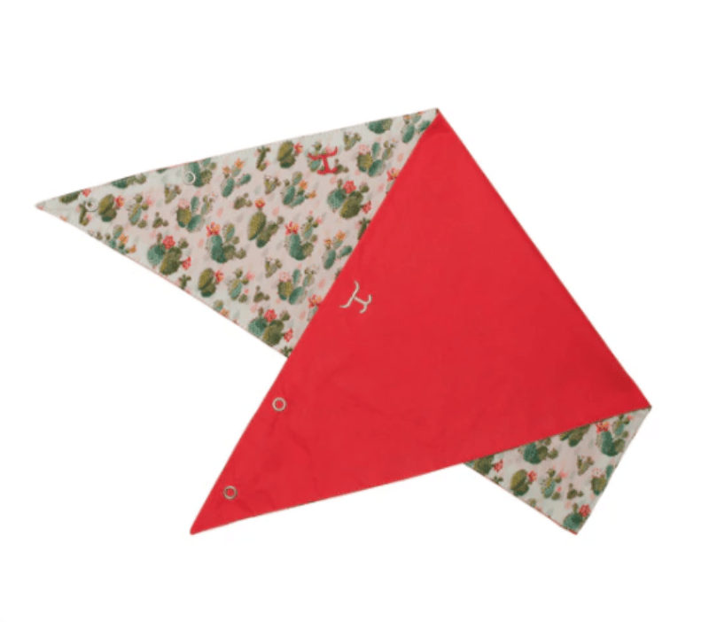 Just Country Bandanas & Scarves Cream Cactus/Hot Coral Just Country Scarf Womens Carlee Double Sided