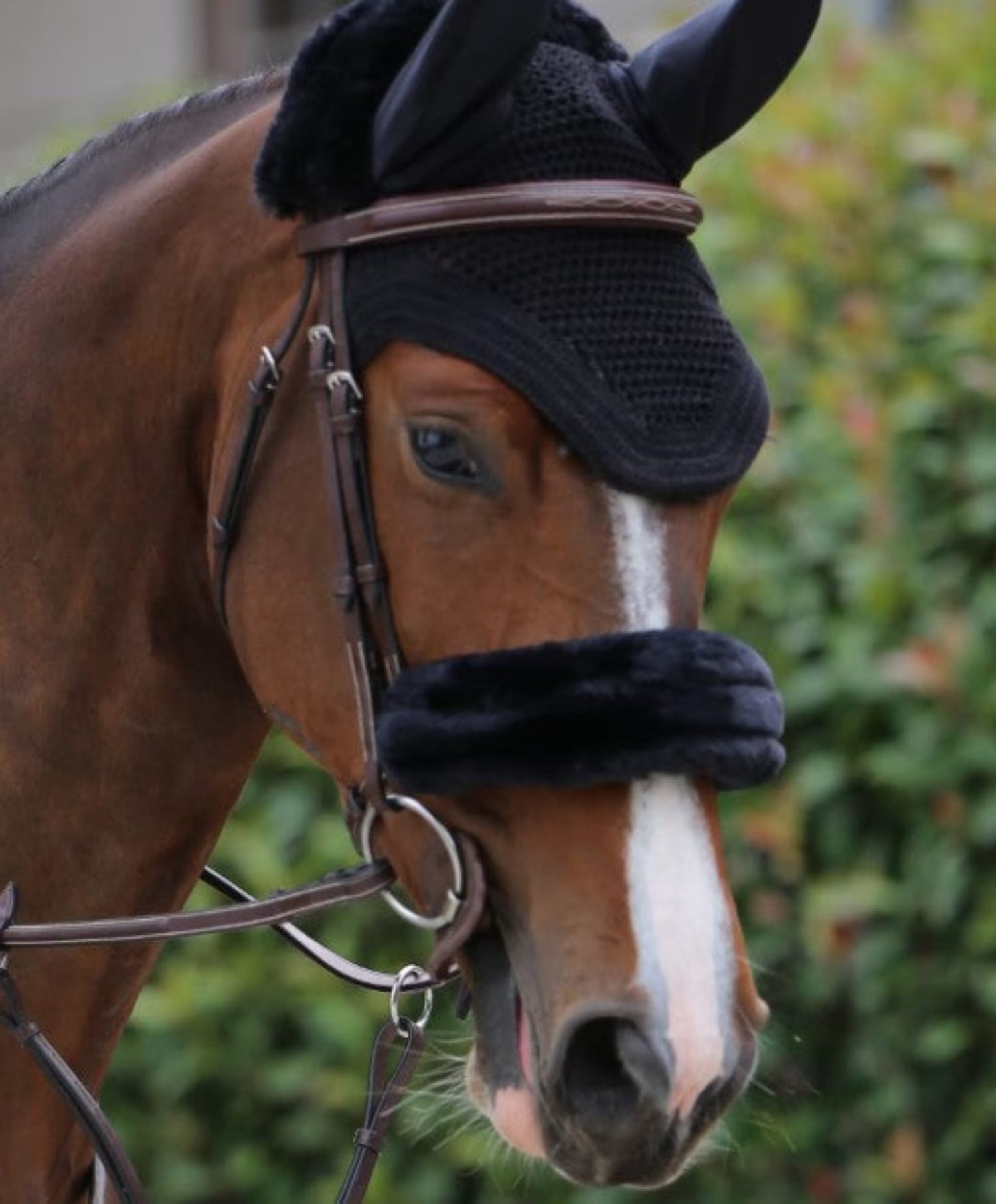 Kentucky Bridle Accessories Kentucky Noseband Cover Sheepskin
