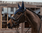 Kentucky Horsewear Fly Masks & Bonnets Full / Dark Navy Kentucky Ear Bonnet Wellington Glitter Soundless