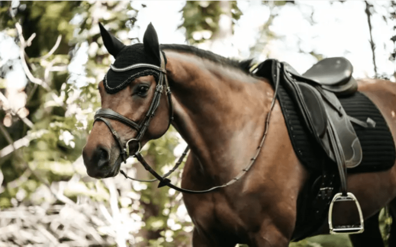 Kentucky Saddle Pads English Full / Black Kentucky Saddlepad Black Pearls Dressage