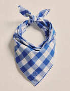 Kidman Bandanas - Scarves Mid Blue Kidman Bandana Parachilna