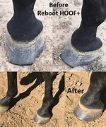 Kohnkes Own Vet & Feed Kohnkes Own Reboot Hoof+