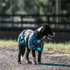Kozy Dog Rugs 10in/25cm / Aztec Turquoise Kozy Dog Rug Supreme