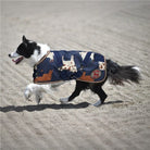 Kozy Dog Rugs Kozy Dog Rug