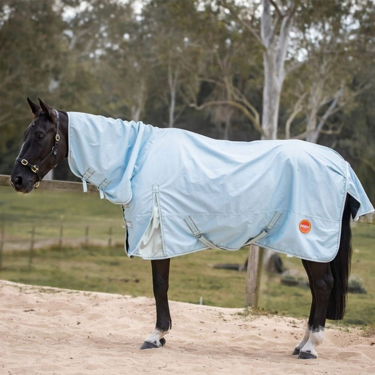 Kozy Winter Horse Rugs 5ft9 / Aqua/Green Kozy Combo 1200D Lite Rainsheet