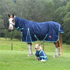 Kozy Winter Horse Rugs 5ft9 / Navy/Turquoise Binding Kozy 1200D Lite Rain Sheet Combo